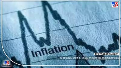 बाबो! महागाईची पुन्हा धडकी ;घाऊक किंमत निर्देशांकात मे महिन्यात वाढ