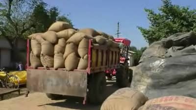 Gondia : धान खरेदीत गोलमाल..! एका तासातच 4 लाख 50 हजार क्विंटल धानाची खरेदी, नेमकी भानगड काय?