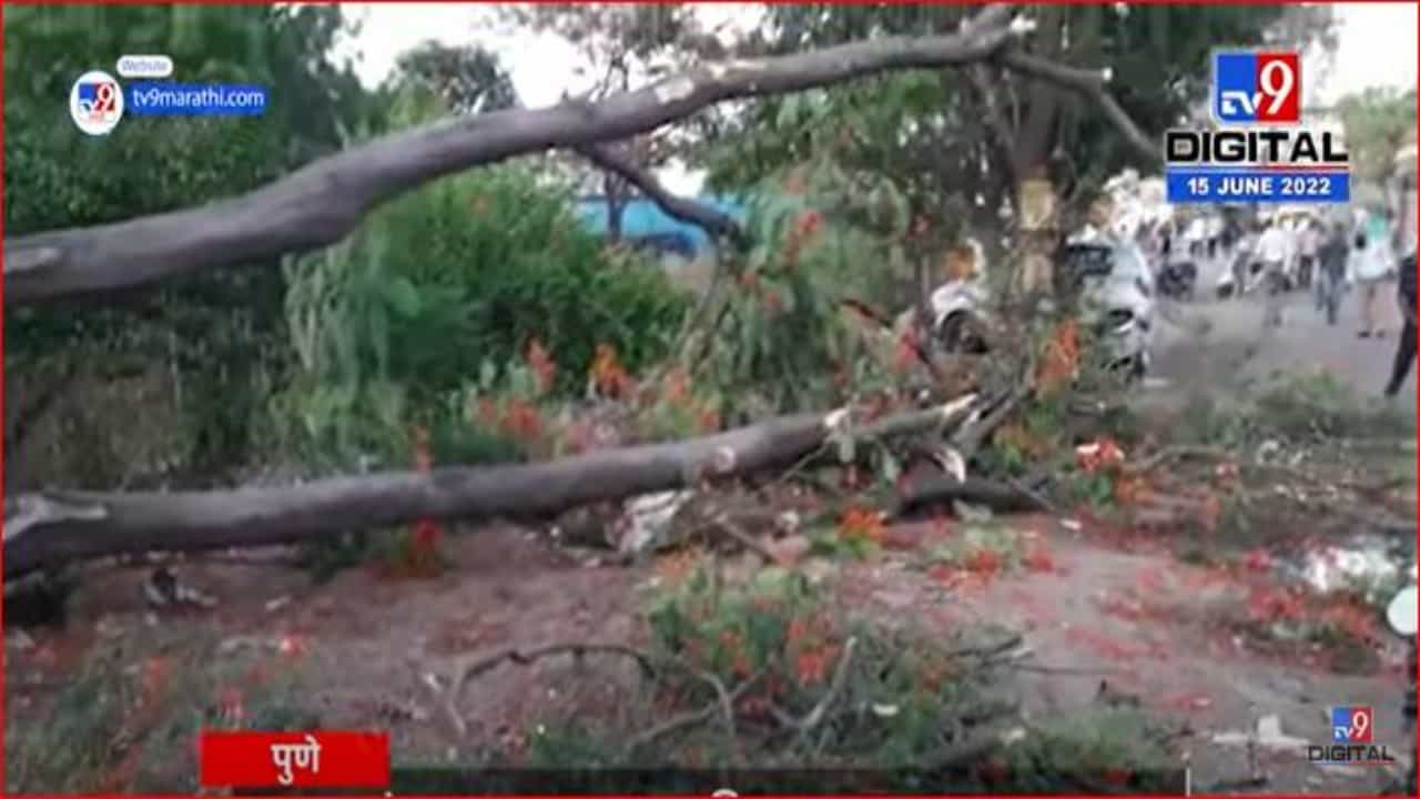 झाड अंगावर कोसळून एक ठार, एक गंभीर जखमी