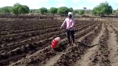 Nanded : उत्पादन वाढीसाठी शेतकऱ्यांनी पेरणी पॅटर्नच बदलला, काय आहे टोकण पध्द?