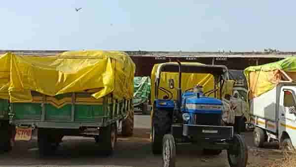 Akola : शेतकऱ्यांनो कामाला लागा, हरभरा खरेदी केंद्राबाबत सरकारचा मोठा निर्णय