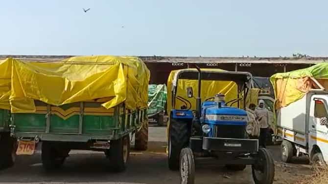Akola : शेतकऱ्यांनो कामाला लागा, हरभरा खरेदी केंद्राबाबत सरकारचा मोठा निर्णय