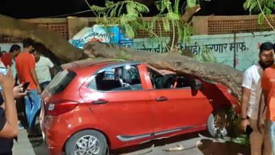 Pune tree fall : कामावरून परतत असतानाच काळाचा घाला, चाकणमध्ये झाड कोसळून दुचारीस्वार ठार; तर दुसऱ्या घटनेत कारचा चक्काचूर
