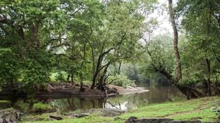 Sadabhau Khot : बांबू काढल्यावर पडायला सरकार म्हणजे काय छप्पर आहे काय?, ते आपोआप पडणारच; सदाभाऊ खोत यांचा हल्लाबोल