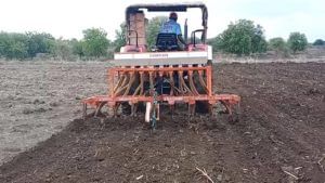 Kharif Season : नांदेडच्या शेतकऱ्यांचे 'टायमिंग' हुकले, पावसाची उघडीप तरीही चाढ्यावर मूठ, कोणता संभाव्य धोका?
