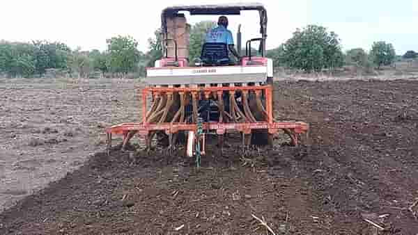 Kharif Season : नांदेडच्या शेतकऱ्यांचे टायमिंग हुकले, पावसाची उघडीप तरीही चाढ्यावर मूठ, कोणता संभाव्य धोका?