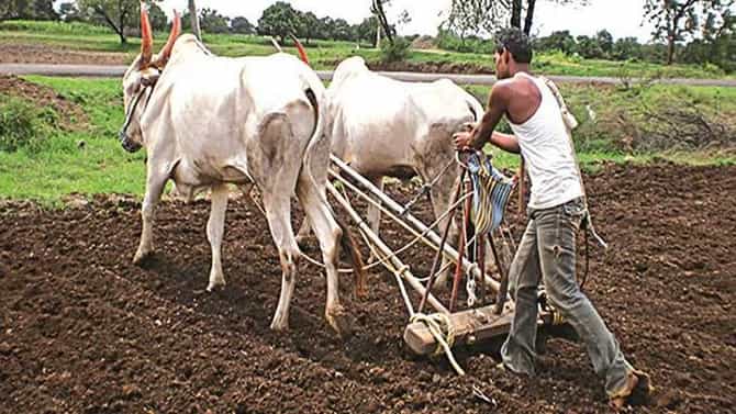 Kharif : पेरणीची घाई..संकटात नेई, खरीप महिनाभर लांबणीवर..! काय आहेत कृषी विभागाच्या सूचना?