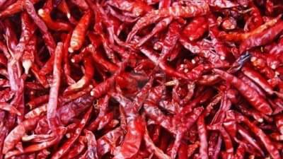 Chilly Market : तेजा मिरची तेजीत, हंगामाच्या सुरवातीलाच विक्रमी दर, यंदा काय राहणार मार्केटचे चित्र?