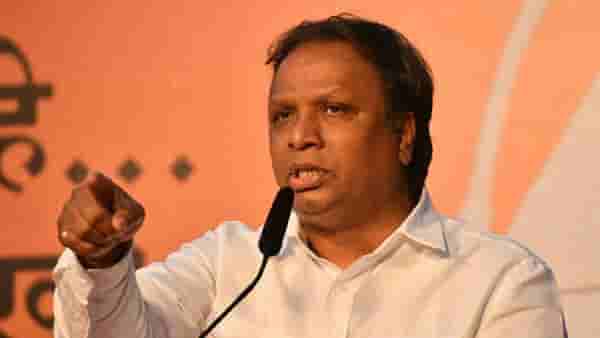 Vidhan Parishad Election : हॉटेल बदलून निवडणुका जिंकता येत नाहीत, शेलारांचा आघाडीला टोला, तर खडसेंबाबतही म्हणतात...