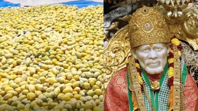 Saibaba Donation : शिर्डीत साईबाबांच्या चरणी चक्क 5 हजार किलो केशर आंब्यांचे दान, भाविकांना मिळाली आमरसाची पर्वणी
