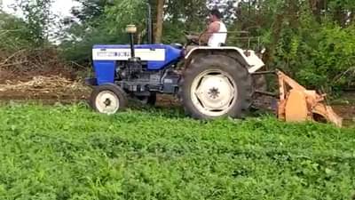 Nashik : अर्ध्या एकरातील मेथीवर फिरवला रोटर, शेतीमालाचे तेच भाजीपाल्याचे