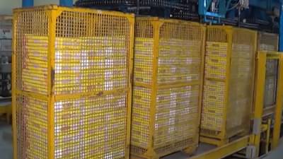 Mango Export : फळांचा राजा लासलगाव मार्गे अमेरिकेत, नेमकी काय होते प्रक्रिया?