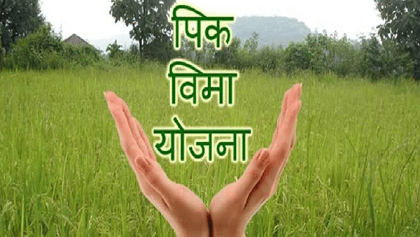 Osmanabad : सर्वोच्च न्यायालयातून पीक विम्याचा प्रश्न मार्गी, मग घोडे अडले कुठे ?
