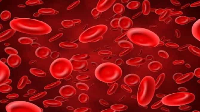 World Sickle Cell Day: राज्यामध्ये एससीडीविषयीची जागरुकता अधिक वाढविण्याचा तज्ज्ञांचा सल्ला