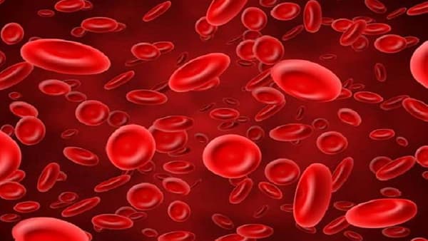 World Sickle Cell Day: राज्यामध्ये एससीडीविषयीची जागरुकता अधिक वाढविण्याचा तज्ज्ञांचा सल्ला