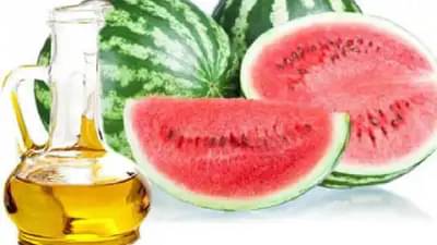 Beauty Tips: कलिंगडाच्या बियांचे तेल सौंदर्यासाठी अत्यंत फायदेशीर, वाचा फायदे