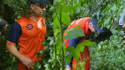 ENG vs NED: इतका लांब SIX मारला की, खेळाडू बॉल शोधायला झुडूपात गेले, इंग्लंड-नेदरलँड आंतरराष्ट्रीय सामन्यातील प्रकार, पहा VIDEO