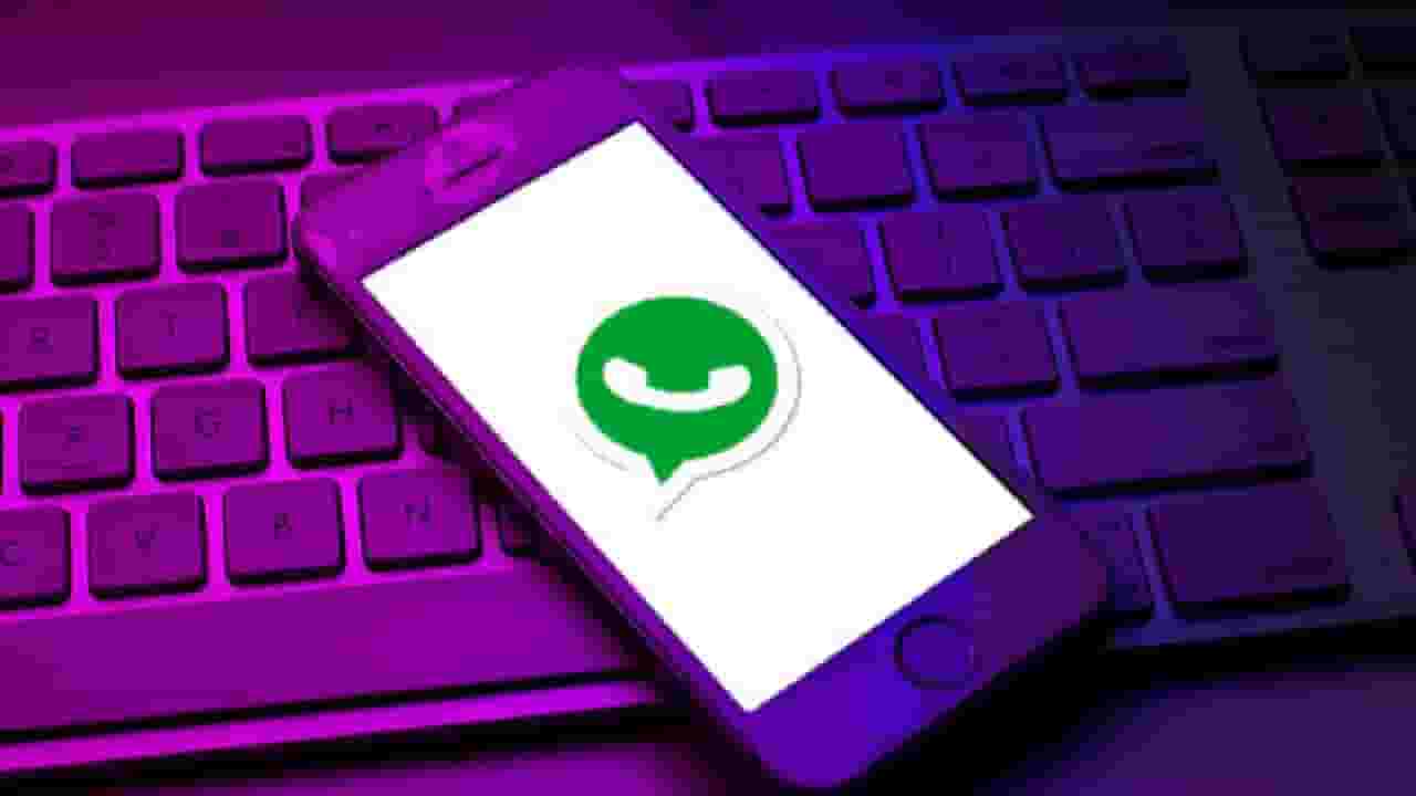 Video : हिंगोली नगरपरिषदेचं हायटेक पाऊल, कर व्हॉट्सअपवर भरता येणार