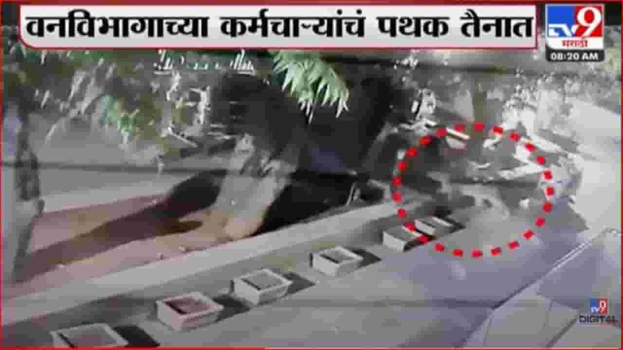 Nashik : सिटी सेंटर मॉल परिसरात बिबट्याची दहशत