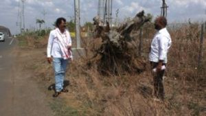 Yavatmal Trees | नागपूर-तुळजापूर मार्गावरील 35 हजार झाडं गेली कुठं, सामाजिक कार्यकर्त्यांची अवधूत वाडी पोलिसांत तक्रार