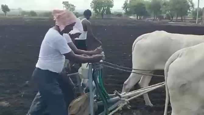 Beed : परळीकरांची चाढ्यावर मूठ, पेरणीबरोबर नवे संकटही ओढावले शेतकऱ्यांनी, वाचा सविस्तर