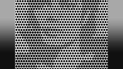 Viral: सांगाच कोण सेलिब्रिटी आहे यात! तुम्ही म्हणाल,इथं दिसंना, तिथं दिसंना, शोधू कुठं?