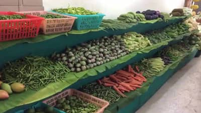 Vegetable in Nanded : नांदेडात टोमॅटो शंभर रूपये किलो; भाजीपाल्याच्या वाढत्या भावाने गृहिणींच्या तोंडचे पळाले पाणी