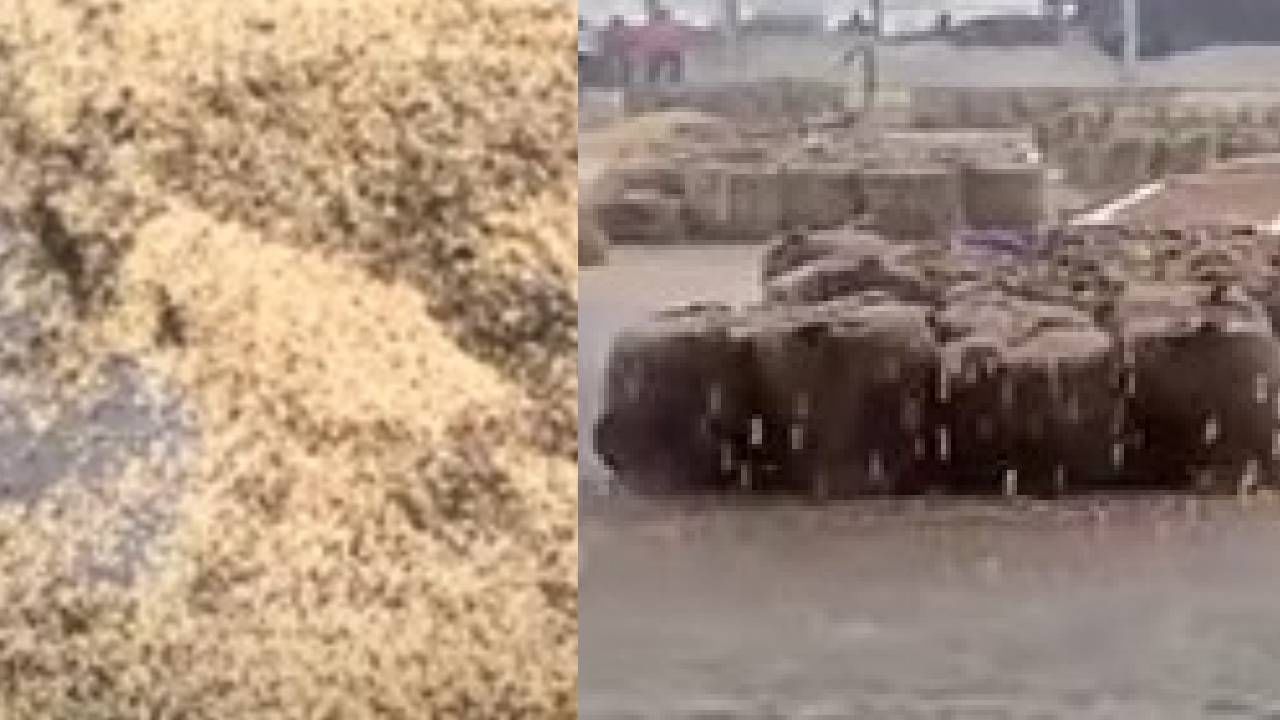 Video : Amravati rain | अमरावतीत धो-धो बरसला, पावसात बाजार समितीतील शेतमाल भिजला, शेतकऱ्यांचं मोठं नुकसान