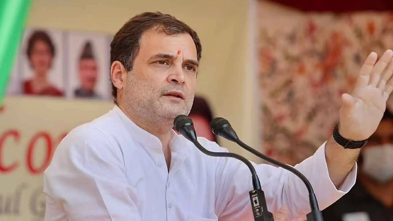 Rahul Gandhi Birthday : 'देशभरातील तरुण रस्त्यावर आंदोलन करतोय, माझा वाढदिवस साजरा करु नका', राहुल गांधींचं कार्यकर्ते आणि समर्थकांना आवाहन