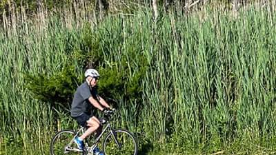 Joe biden : जो बायडन सायकल चालवत होते अन् बघता-बघता भररस्त्यात पडले!, पाहा व्हीडिओ...