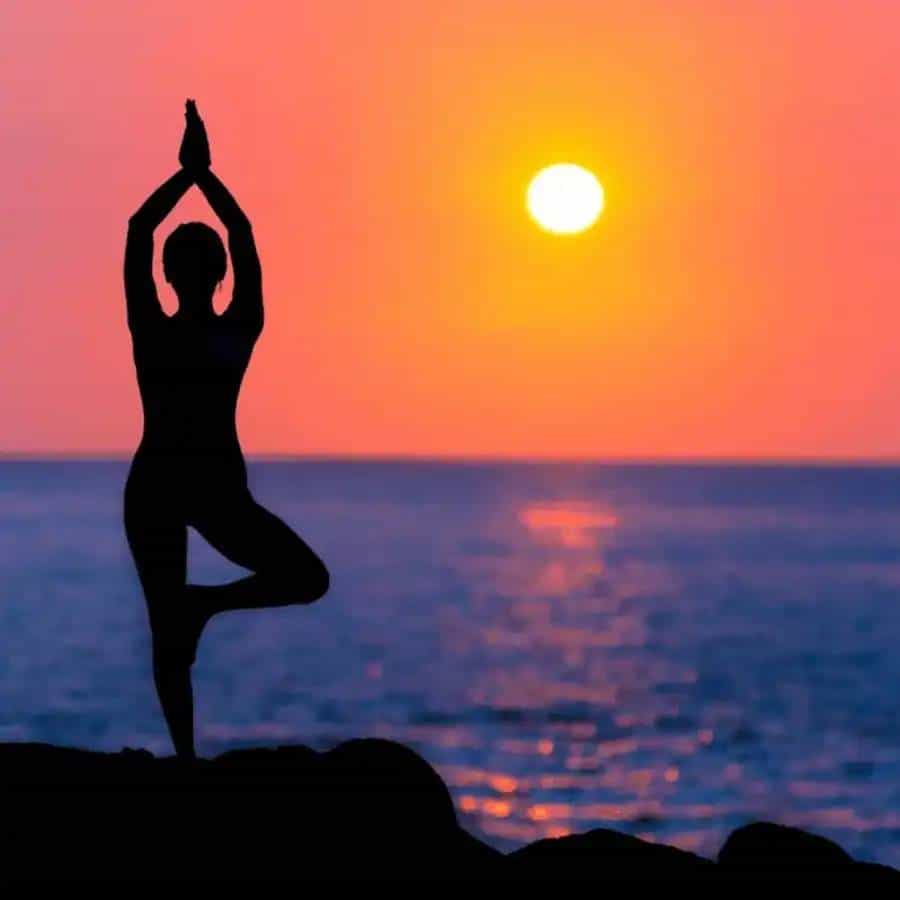 योग आणि ध्यान याविषयी बहुतेक लोक गोंधळलेले असतात. योग आणि ध्यान यात मोठा फरक असताना ते दोन्ही एकच आहेत असं अनेकांना वाटते. द योगा इन्स्टिट्यूटच्या अधिकृत वेबसाइटनुसार, दोघांचा श्वासोच्छवासाशी संबंध आहे, पण, त्यांचे फायदे आणि काम करण्याच्या पद्धती भिन्न आहेत. योग आणि ध्यान यातील फरक जाणून घ्या.