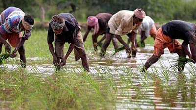 Kharif Season : व्हायचे तेच झाले, गतवर्षीच्या तुलनेत खरिपाचे पेरणी क्षेत्र घटले, कृषी विभागाकडून अहवाल सादर