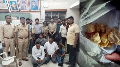 Nagpur Crime : नागपूरमध्ये वनविभागाकडून व्हेल माशाची उलटी जप्त, चार आरोपी ताब्यात