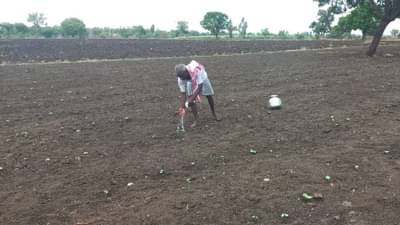 Nanded : खरिपात धुळपेरणी, आता पिक जोपासण्यासाठी शेतकऱ्यांची कसरत तर पहा..!