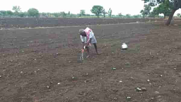 Nanded : खरिपात धुळपेरणी, आता पिक जोपासण्यासाठी शेतकऱ्यांची कसरत तर पहा..!