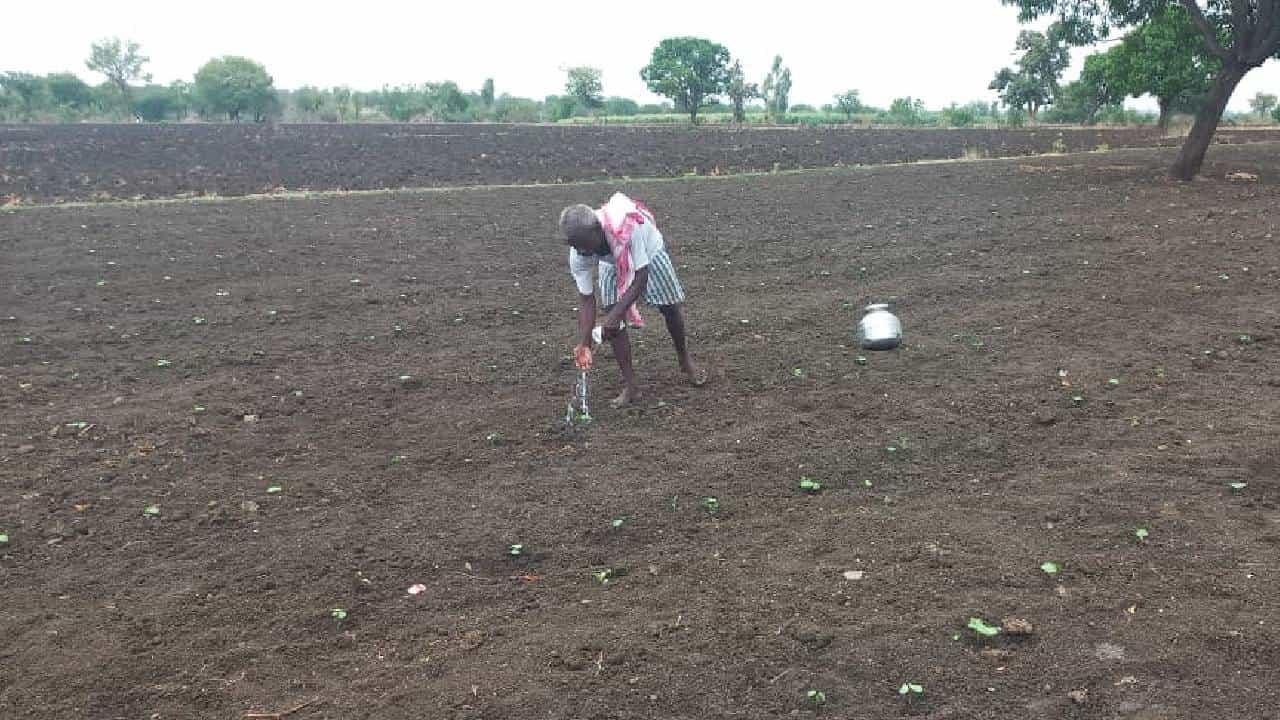 Nanded : खरिपात धुळपेरणी, आता पिक जोपासण्यासाठी शेतकऱ्यांची कसरत तर पहा..!