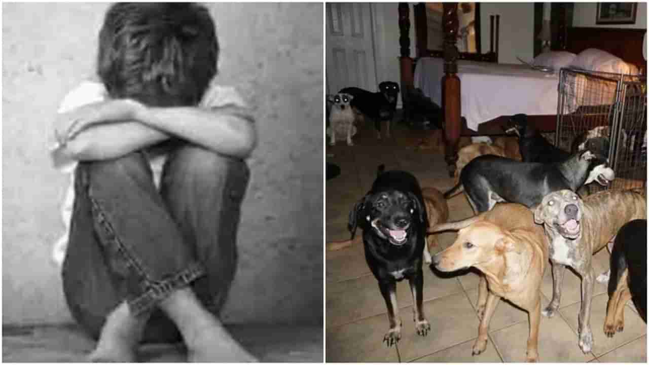 Pune : जामीन तर मिळाला, मात्र मुलाचा ताबा बालकल्याण समिकडेच! 11 वर्षाच्या चिमुरड्याला कुत्र्यांच्या सान्निध्यात ठेवलं होतं दोन वर्ष!!