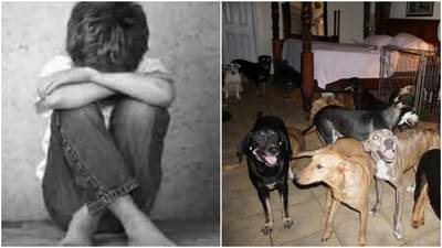 Pune : जामीन तर मिळाला, मात्र मुलाचा ताबा बालकल्याण समिकडेच! 11 वर्षाच्या चिमुरड्याला कुत्र्यांच्या सान्निध्यात ठेवलं होतं दोन वर्ष!!