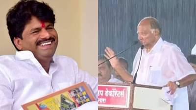 Video : आज कुणीही पावसात भिजलं तरी काहीही उपयोग नाही, मविआ निवडणूक हरणारच- गोपीचंद पडळकर