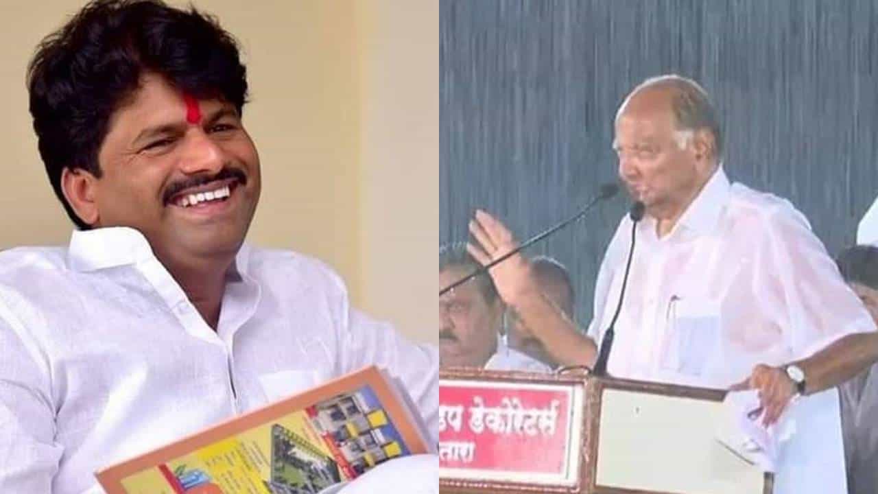 Video : आज कुणीही पावसात भिजलं तरी काहीही उपयोग नाही, मविआ निवडणूक हरणारच- गोपीचंद पडळकर Video : आज कुणीही पावसात भिजलं तरी काहीही उपयोग नाही, मविआ निवडणूक हरणारच- गोपीचंद पडळकर