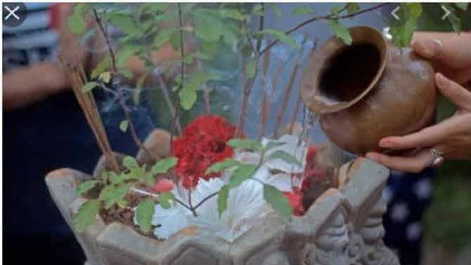 Tulsi Puja: तुळशीला जल अर्पण करणाऱ्यांनी चुकूनही करू नये हे काम!