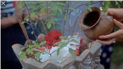 Tulsi Puja: तुळशीला जल अर्पण करणाऱ्यांनी चुकूनही करू नये हे काम!