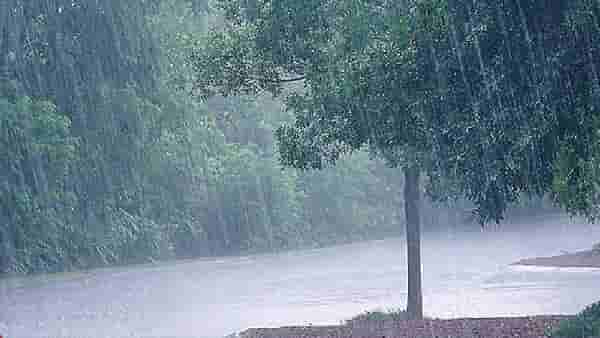 Buldhana Lightning : बुलढाण्यात वीज पडून दोघांचा मृत्यू, दोन जण जखमी