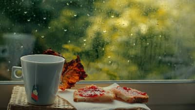 Health | पावसाळ्यात आजारांपासून दूर राहण्यासाठी या खास टिप्स फाॅलो करा आणि निरोगी राहा!