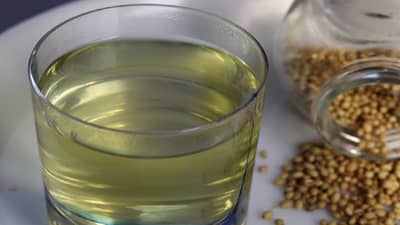 Health | वजन कमी करण्यापासून ते किडनीची समस्या दूर करण्यापर्यंत धने पाणी अत्यंत फायदेशीर!