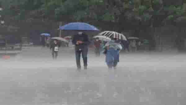Rain | पावसाळी आपात्कालीन परिस्थितीत घ्या काळजी, वीज पडण्याचा धोका असल्यास नेमकं काय कराल?