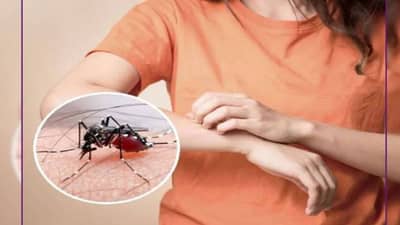 आला पावसाळा..पावसाळ्यात डासांना घरापासून दूर ठेवा, जाणून घ्या, ‘या’ सर्वोत्तम टिप्स!