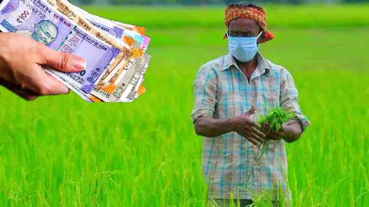 Nandurbar : नोंदणी 1 लाख 24 हजार शेतकऱ्यांची 67 हजार जणांनीच केली ई-केवायसीची प्रक्रिया, उर्वरित शेतकऱ्यांसमोर पर्याय काय?