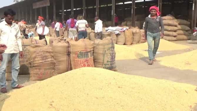 Latur Market : हंगामाच्या अंतिम टप्प्यात शेतकऱ्यांची निराशा, सोयाबीन 1 हजार रुपये कमी दराने विक्रीची नामुष्की