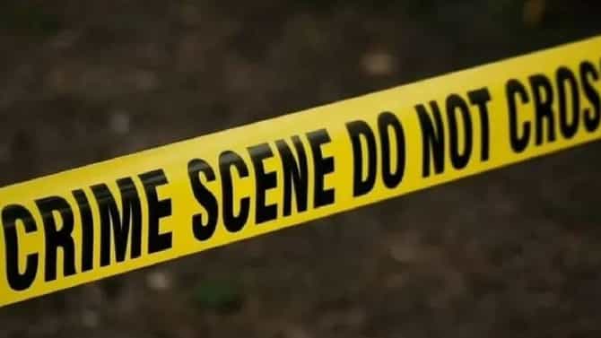 Karad Dog Attack : कराडमध्ये मोकाट कुत्र्यांच्या हल्ल्यात बालकाचा मृत्यू, नागरिकांमध्ये संताप